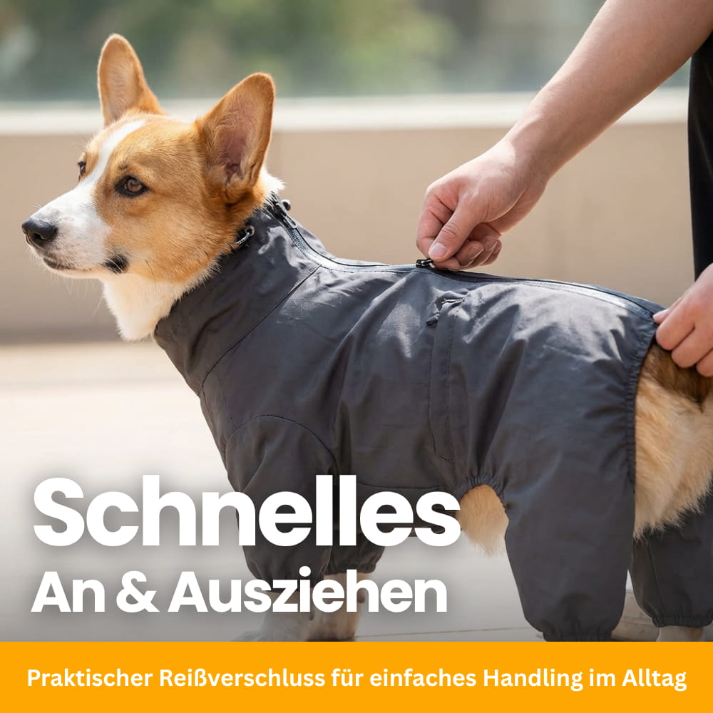 RainPaw – Waterproof Raincoat for Dogs