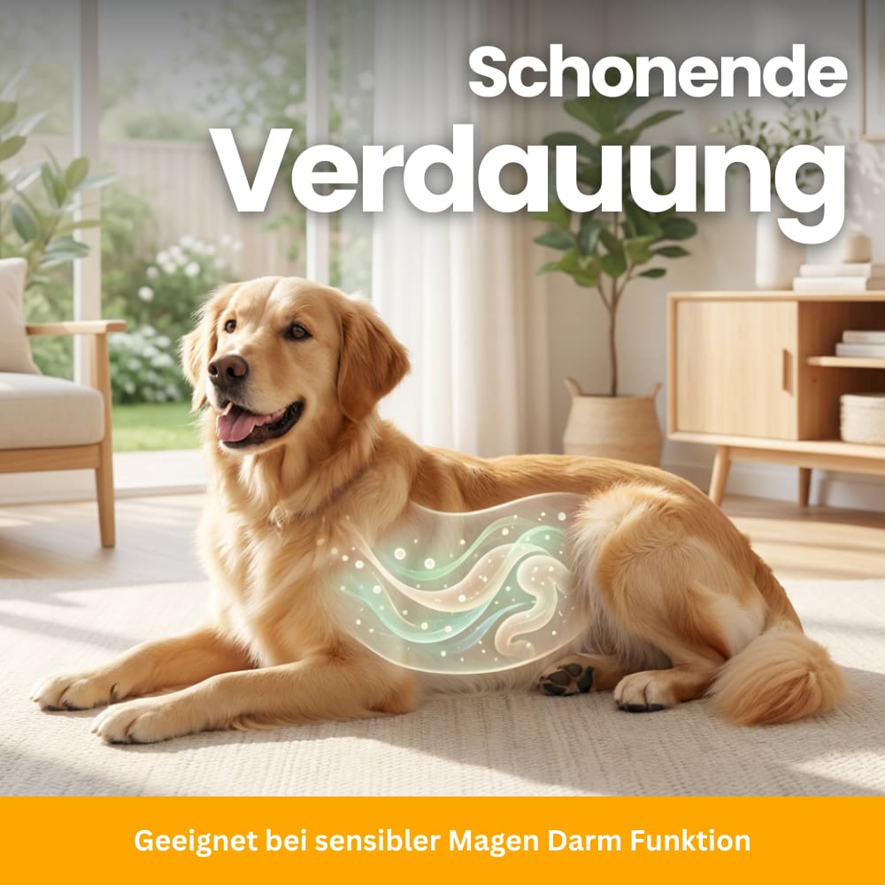 Tägliche Darmflora-Probiotika für Hunde