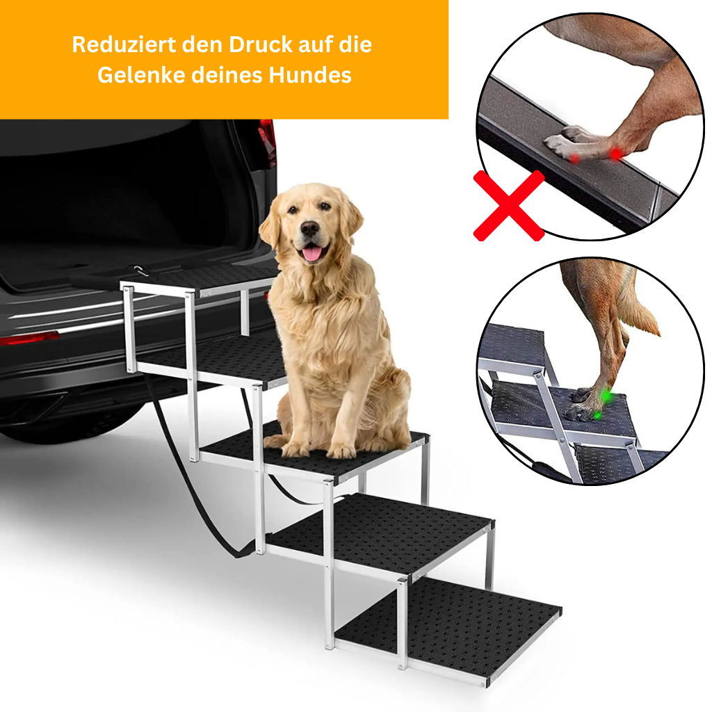 PfotenLift - Faltbare Hundetreppe