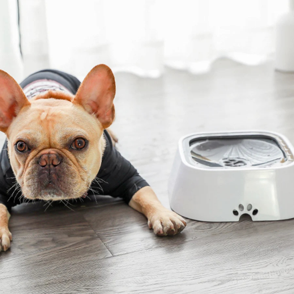 Auslaufsicherer Haustiertrinknapf