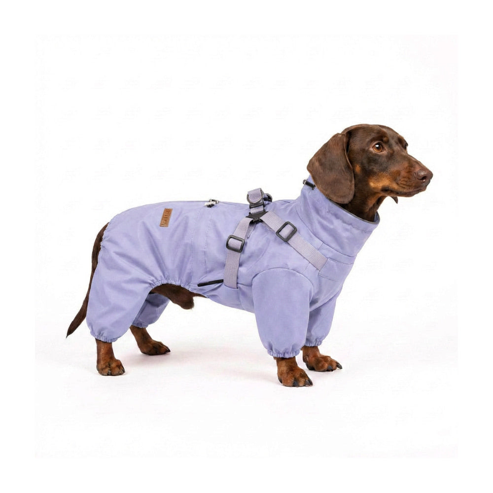 RainPaw – Waterproof Raincoat for Dogs