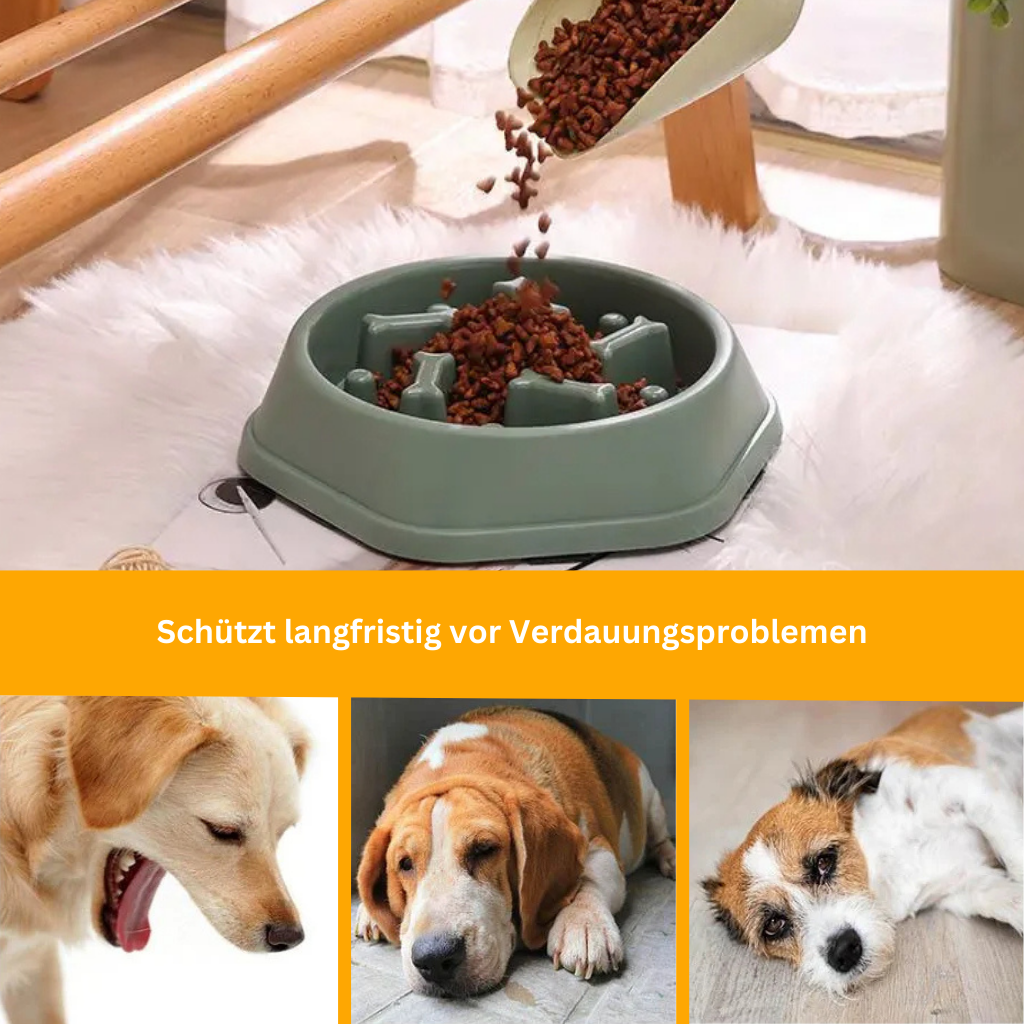 VitalFeeder Gesundheitsnapf