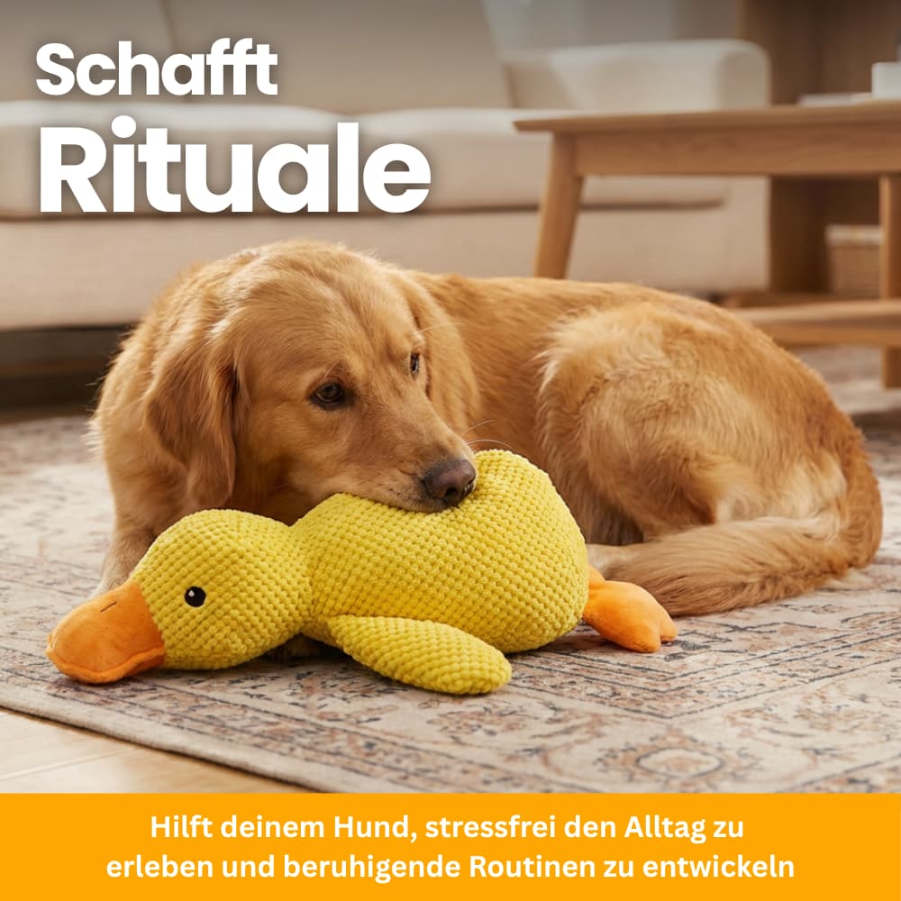 Anti-Stress Duck for Dogs