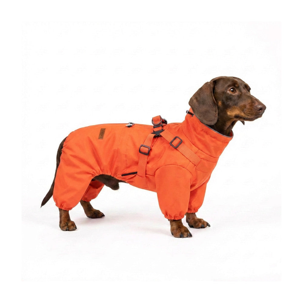 RainPaw – Waterproof Raincoat for Dogs