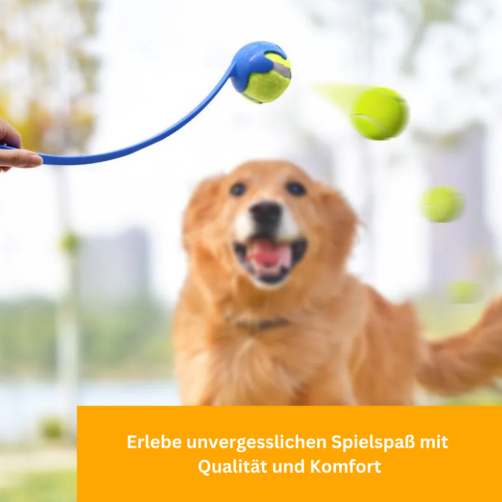 FetchMaster Handballwerfer