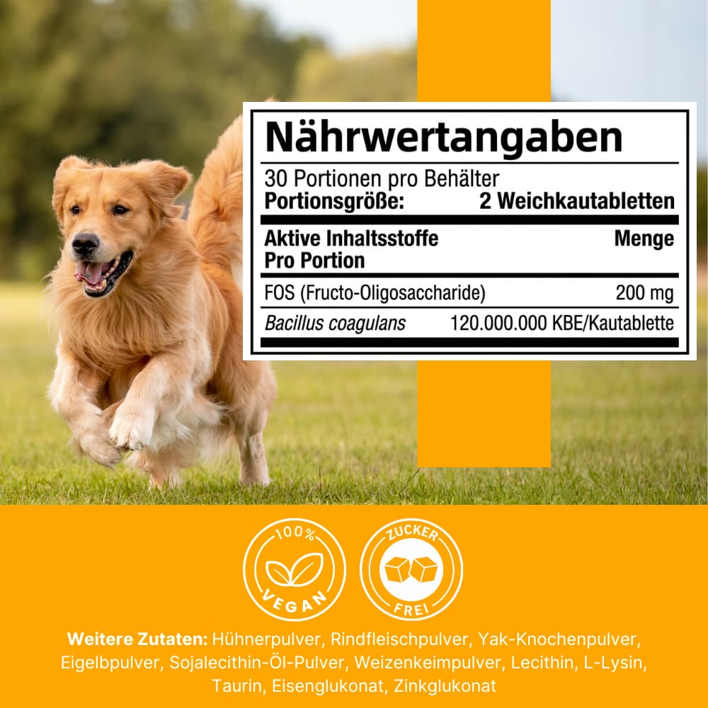 Tägliche Darmflora-Probiotika für Hunde