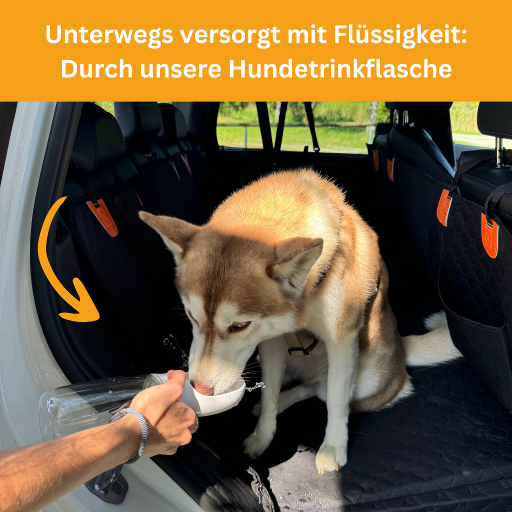 Stabiler Rücksitzschutz - Bundle