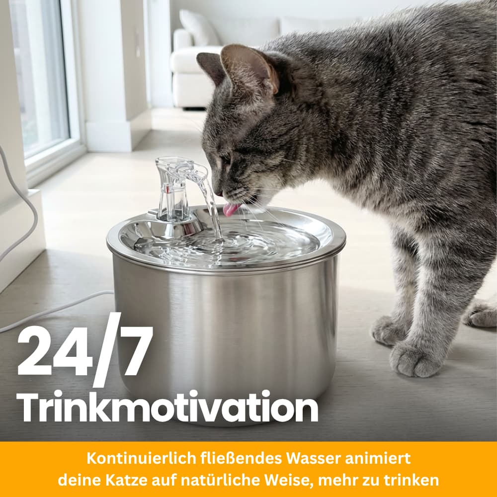 FreshFlow Stainless Steel Fountain