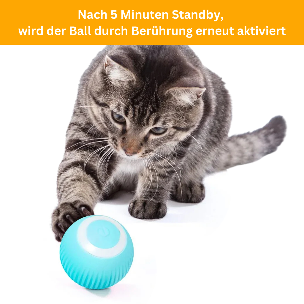 PowerBall 2.0 - Smartes Katzenspielzeug