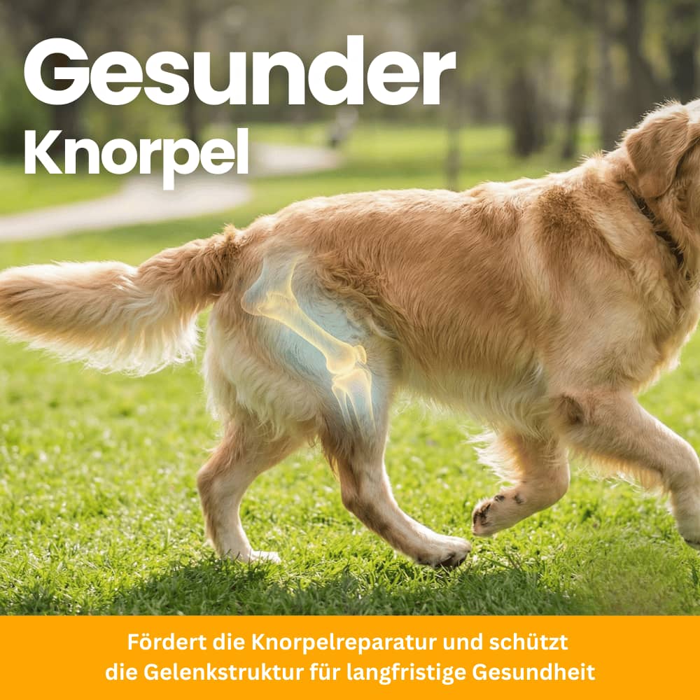 Hüfte & Gelenke Soft Chews für Hunde