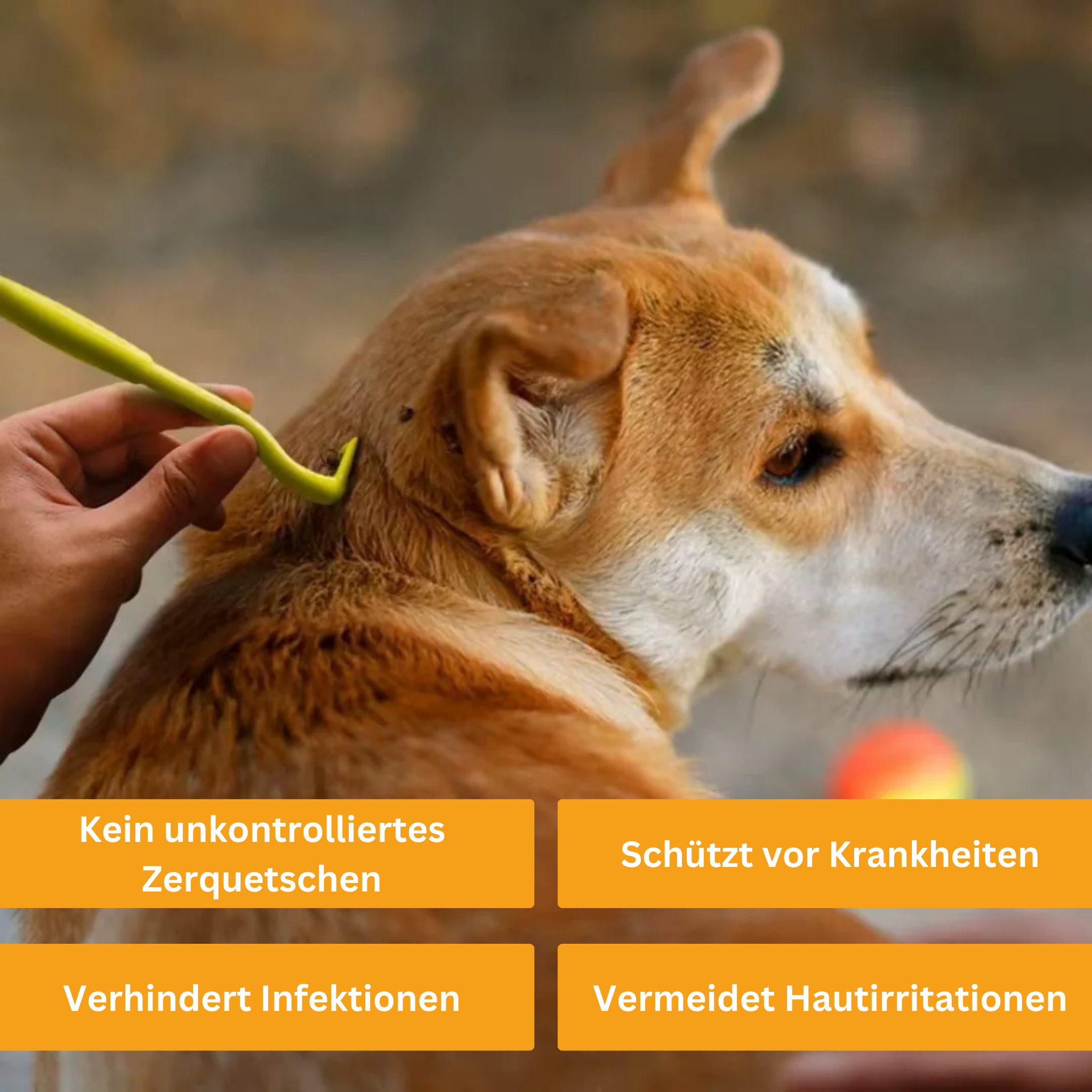 Praktische Zeckenzange (3er Set)