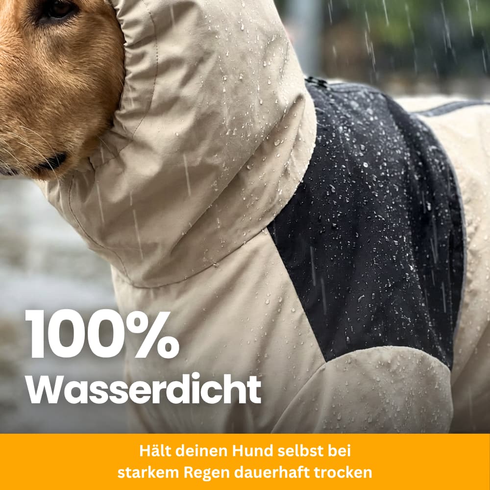 StormGuard – Rain & Wind Protection For Dogs