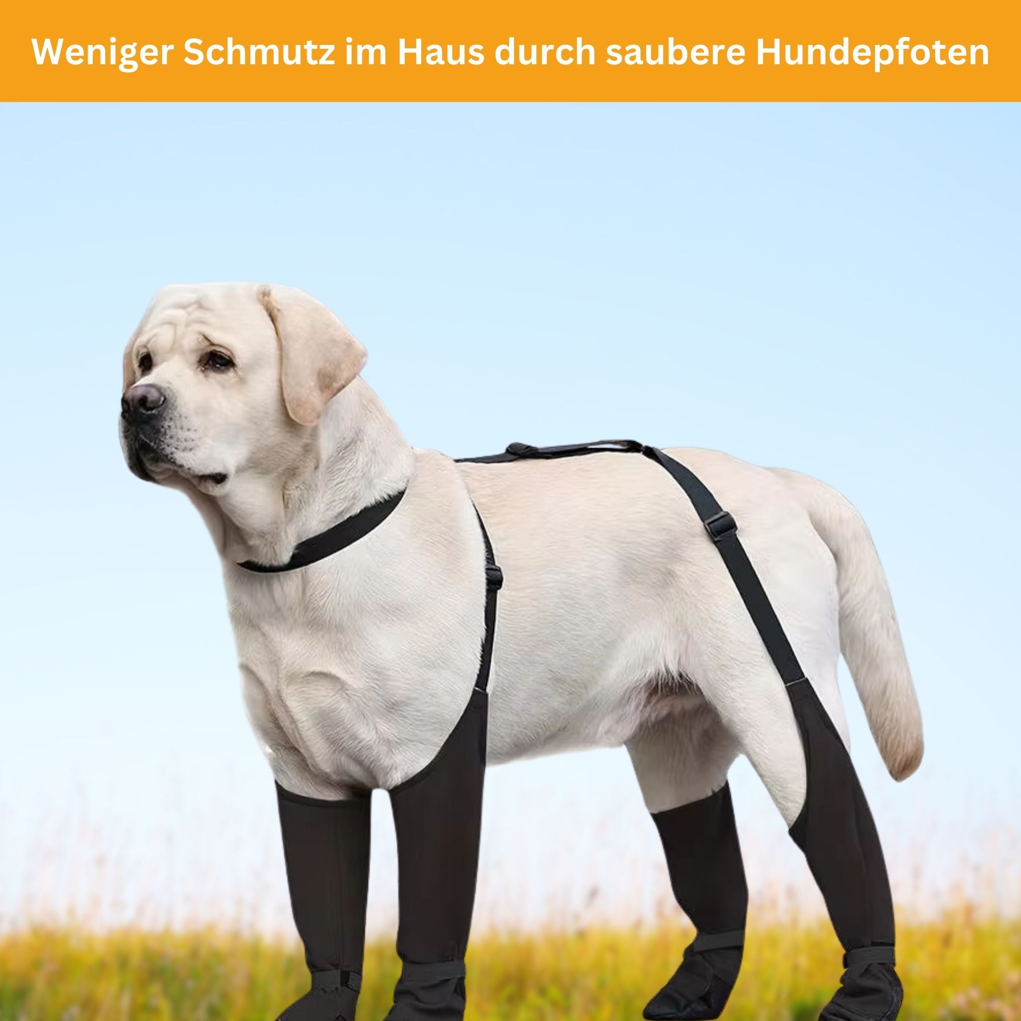 PawGrip - Wasserdichte & Rutschfeste Hundeschuhe
