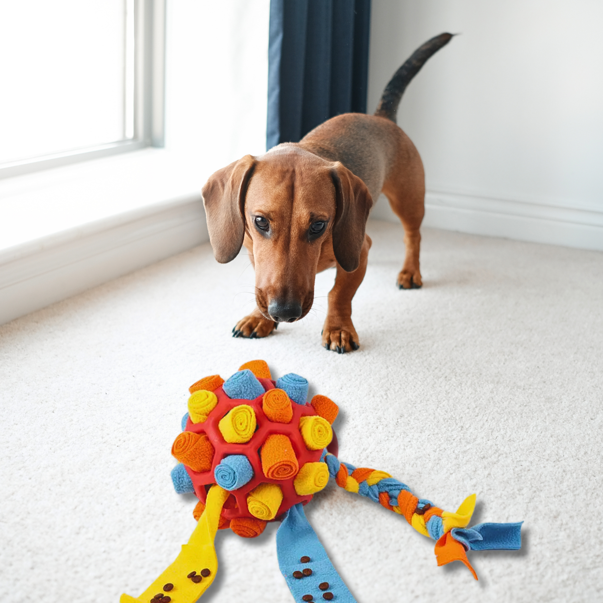 Schnüffelball - Interaktives Leckerli-Spielzeug