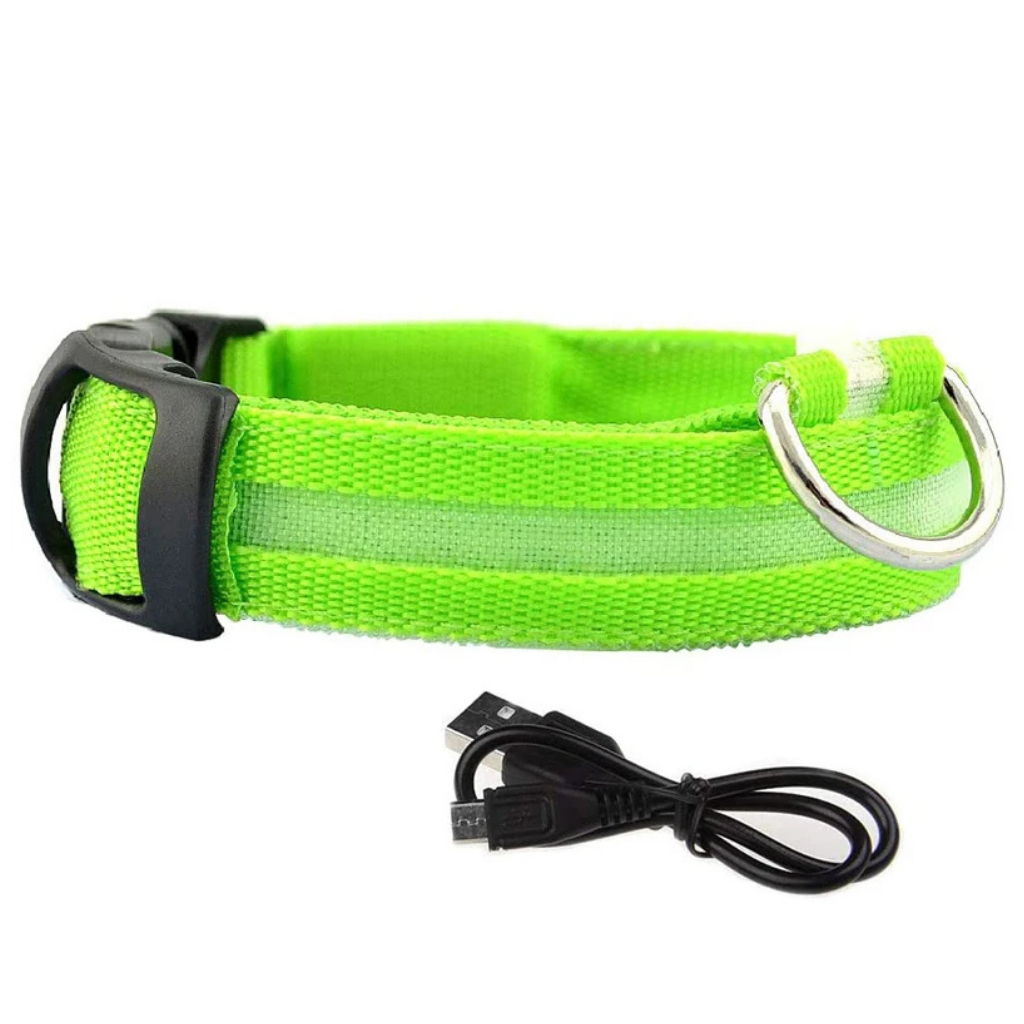LED Light-Up Dog Collar