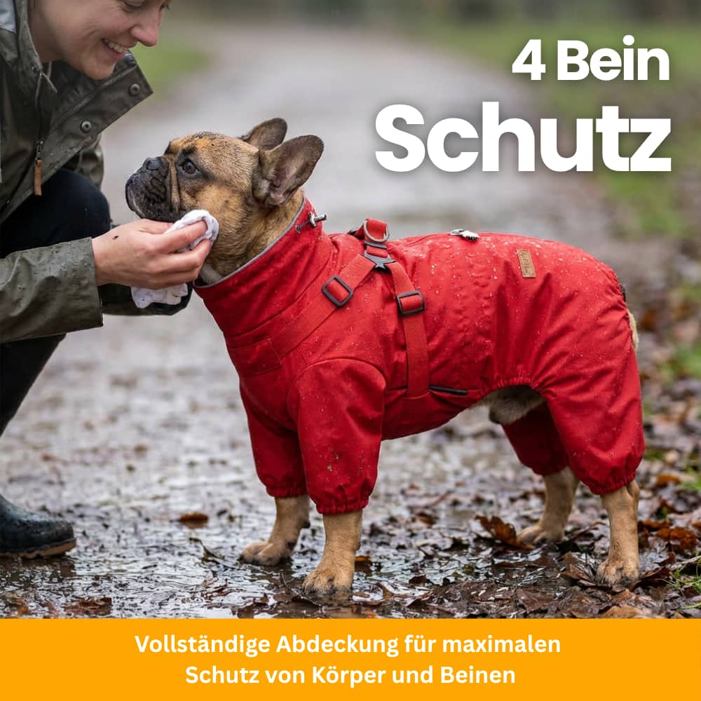 RainPaw – Waterproof Raincoat for Dogs