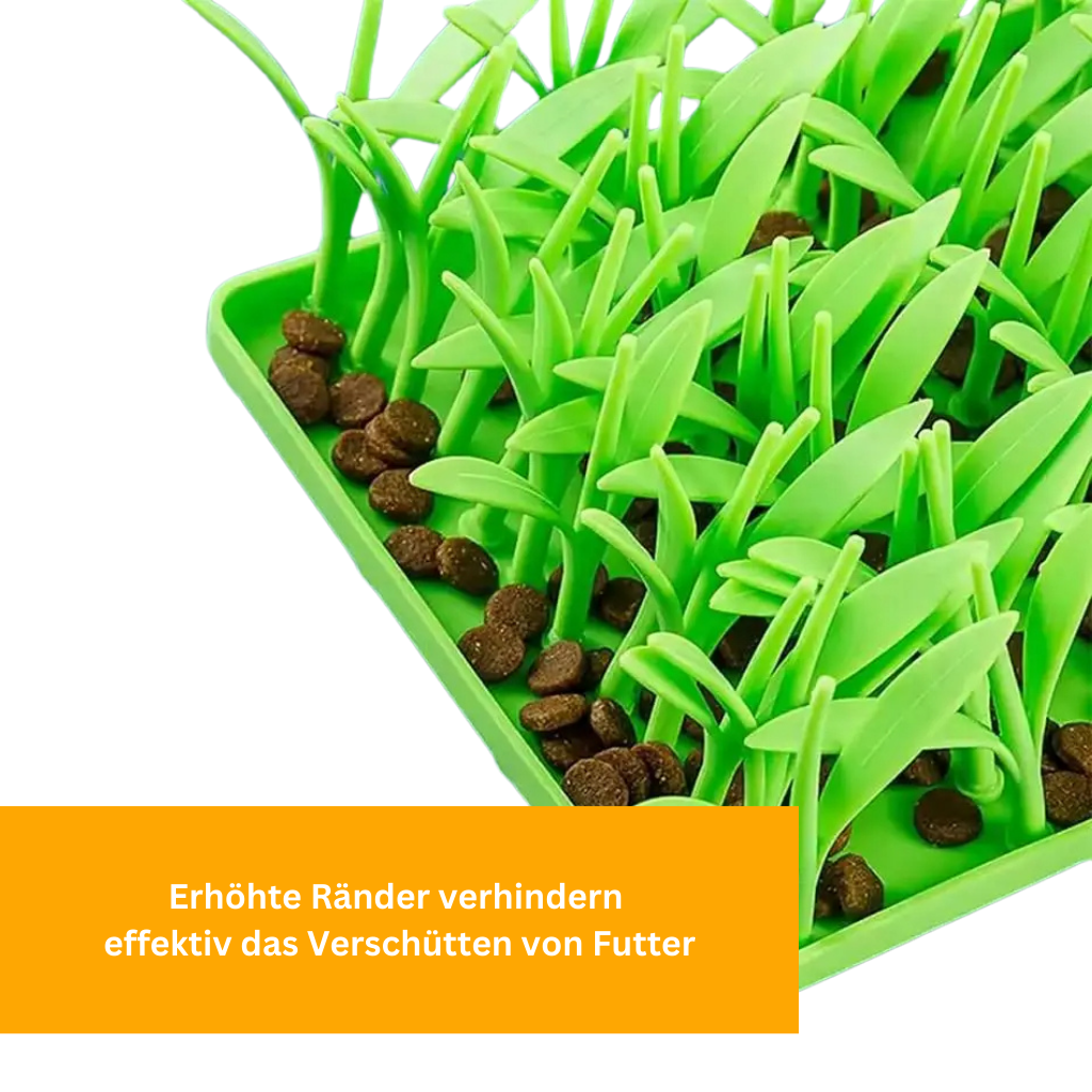 Leckerli-Wiese für Hunde