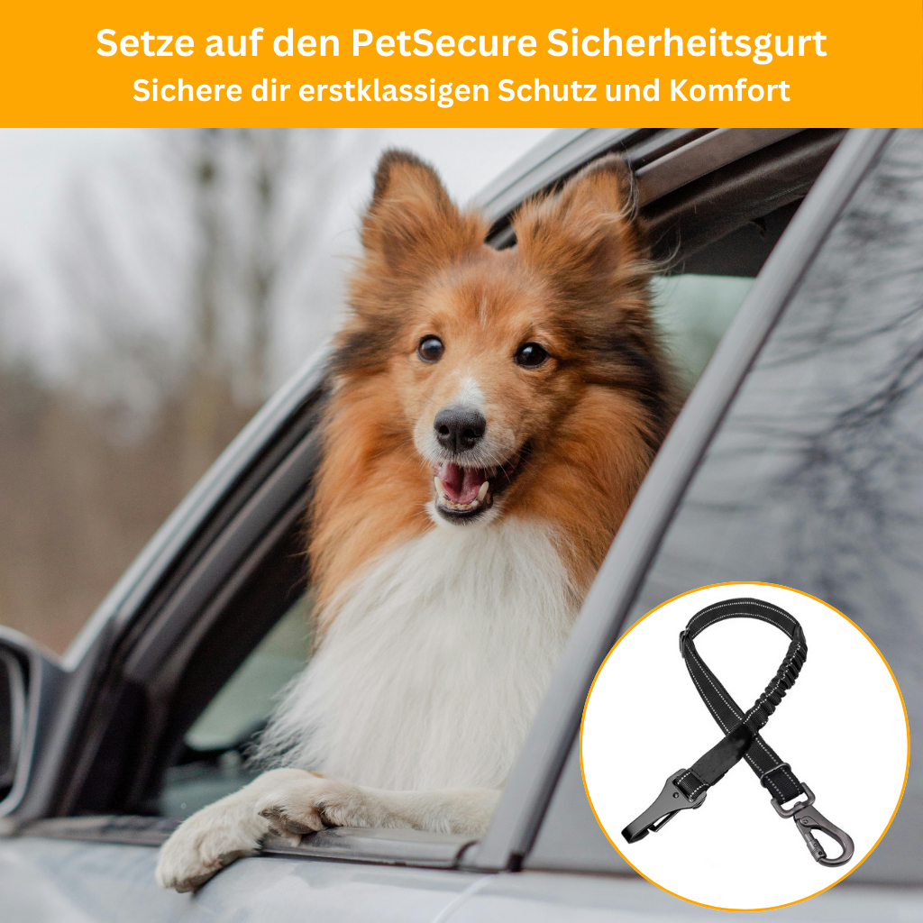 PetSecure 3-in-1 Sicherheitsgurt