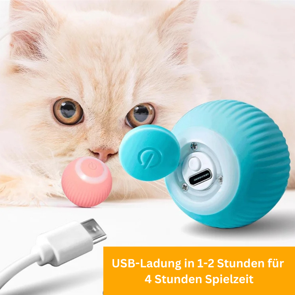 PowerBall 2.0 - Smartes Katzenspielzeug