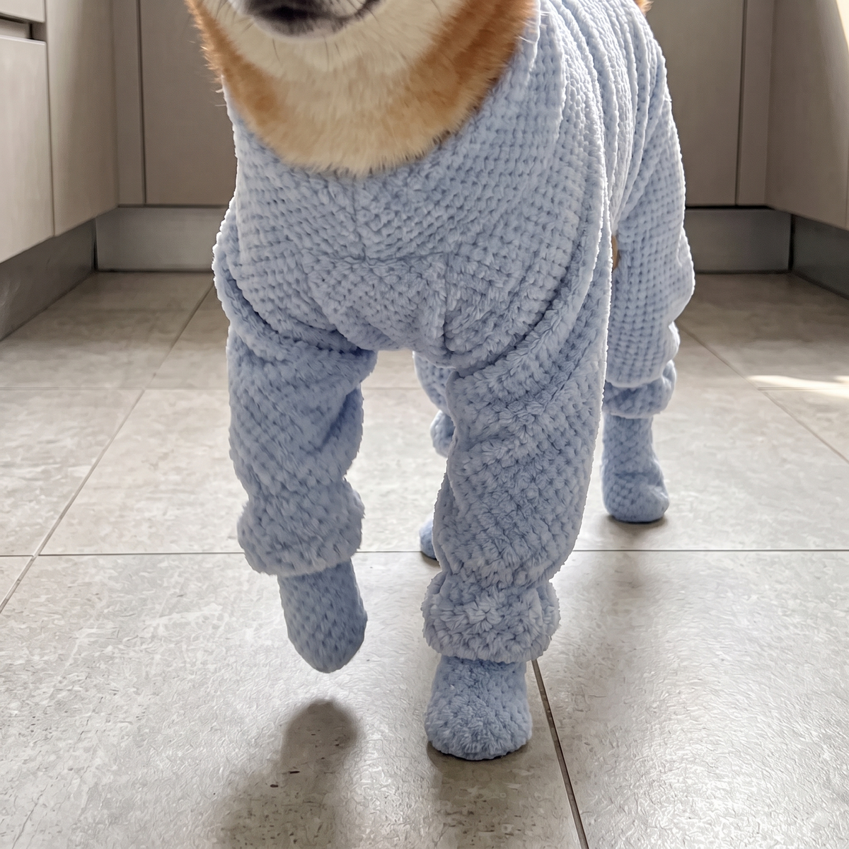 FluffDry dog bathrobe – four wrapped legs