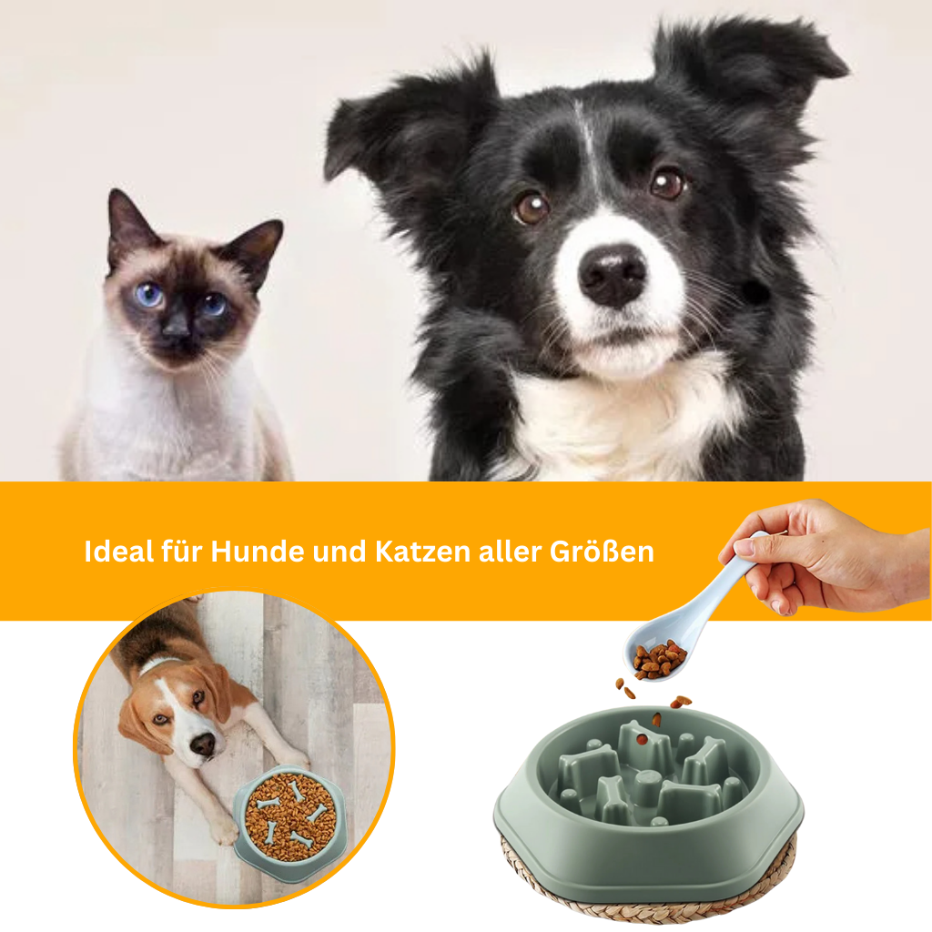 VitalFeeder Gesundheitsnapf