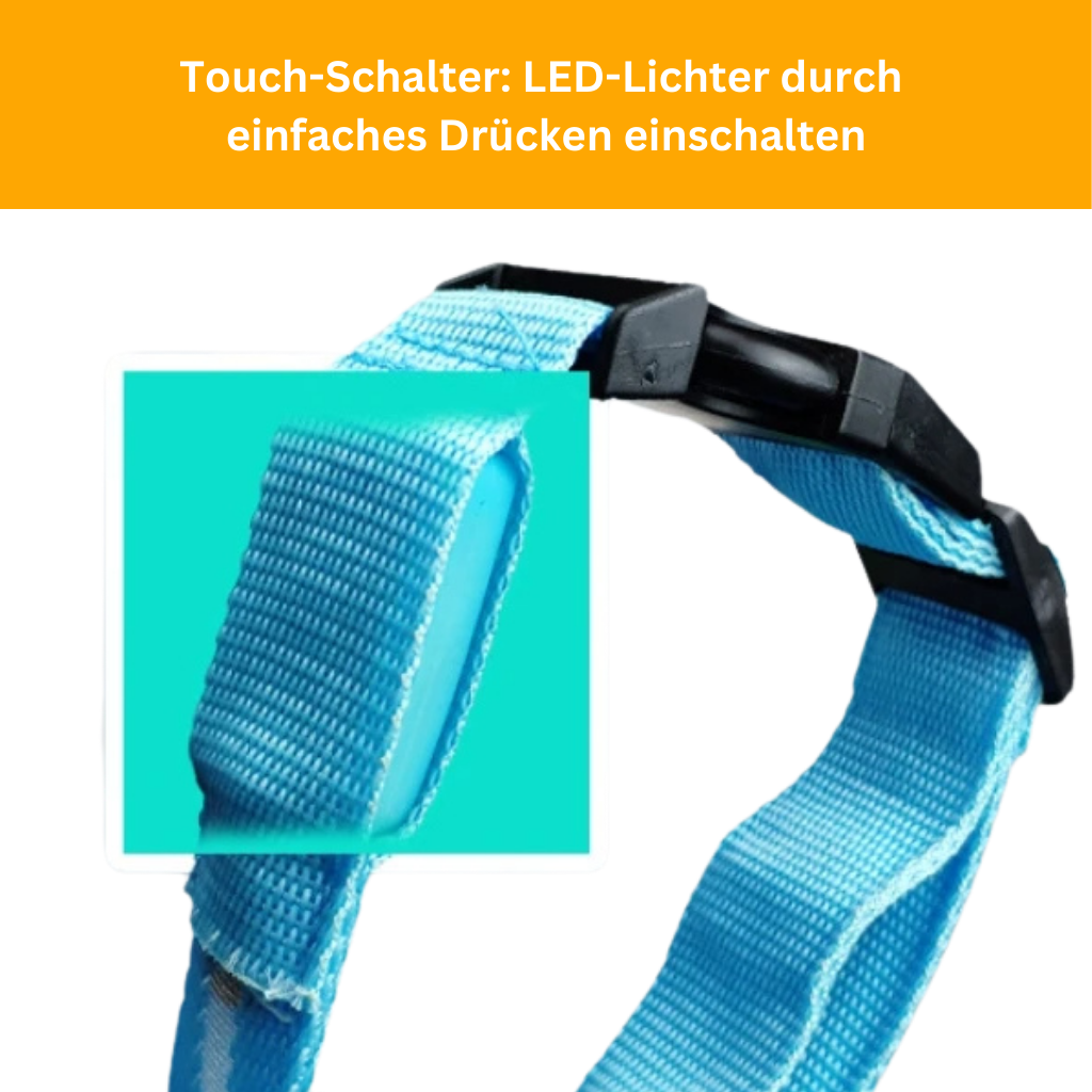 LED Leuchthalsband