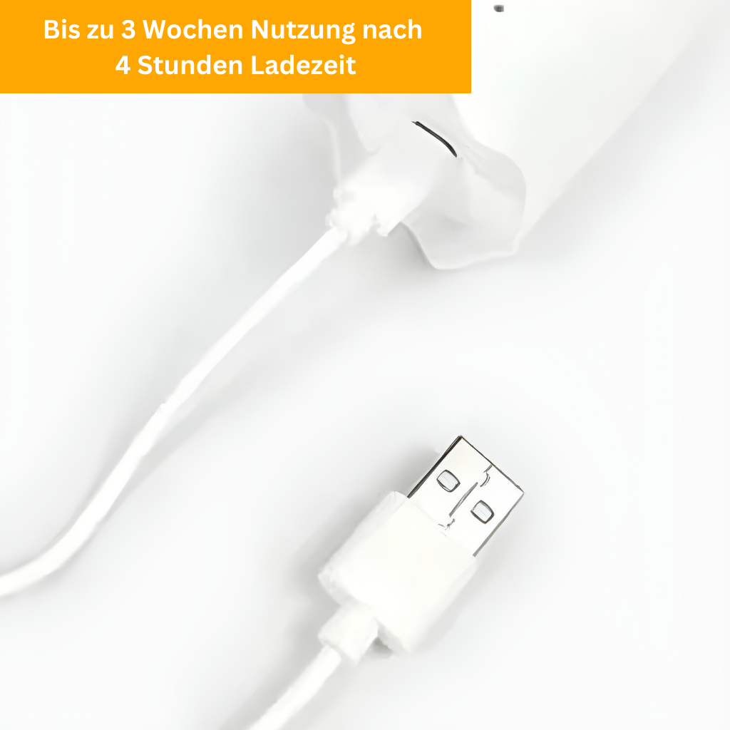 UV-Zeckenbürste für Katzen