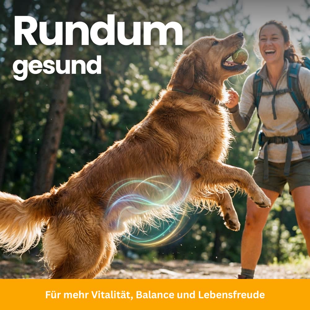 Dog Probiotics for Gut & Immune System