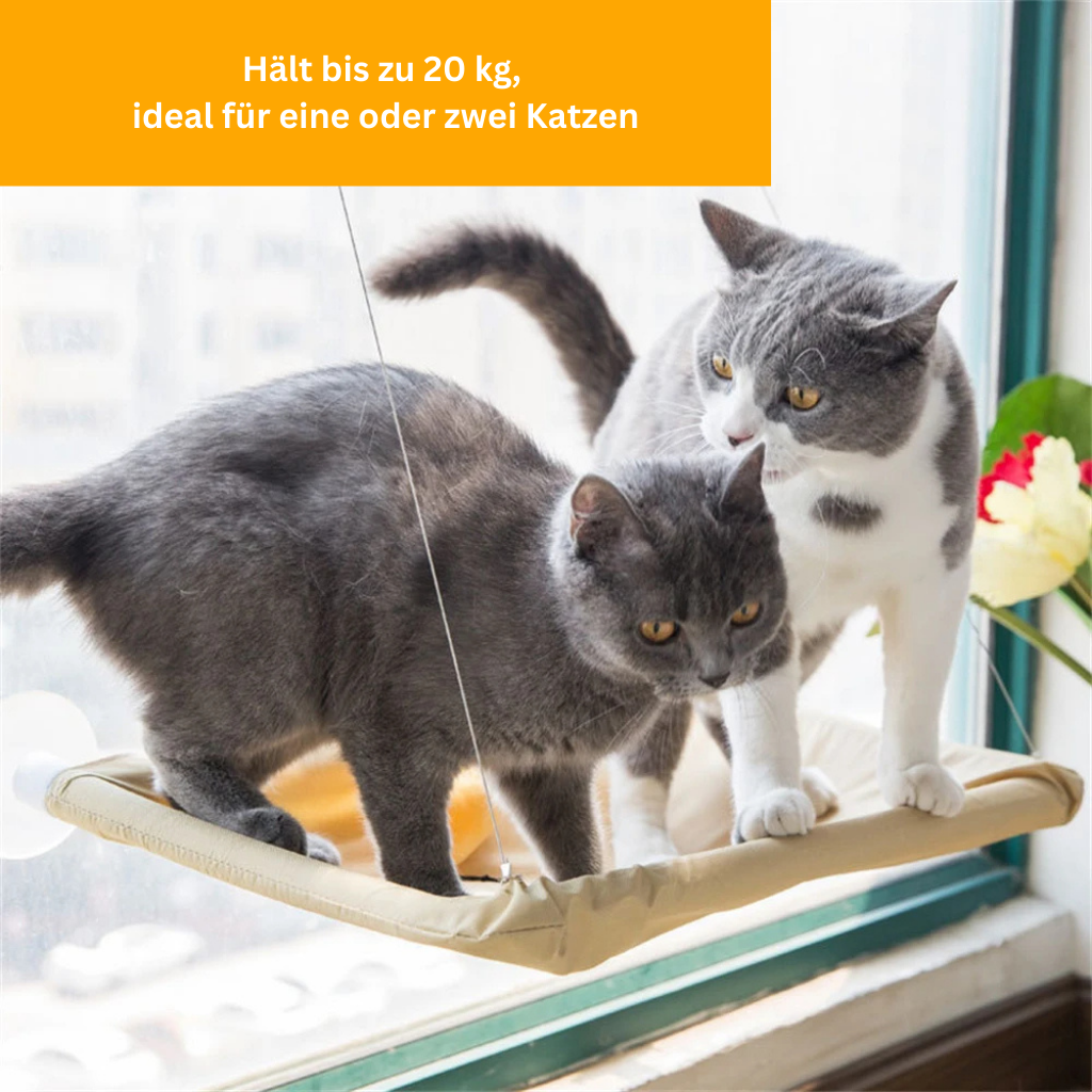 Katzenhängematte - Chill