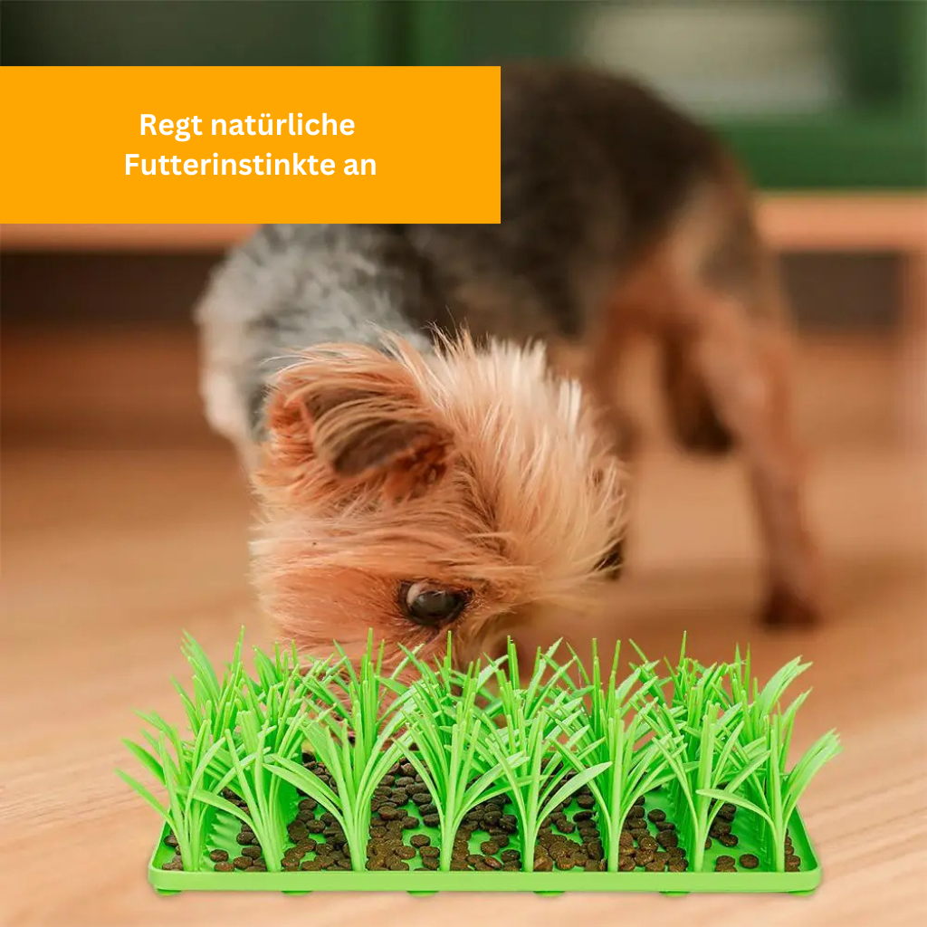 Leckerli-Wiese für Hunde