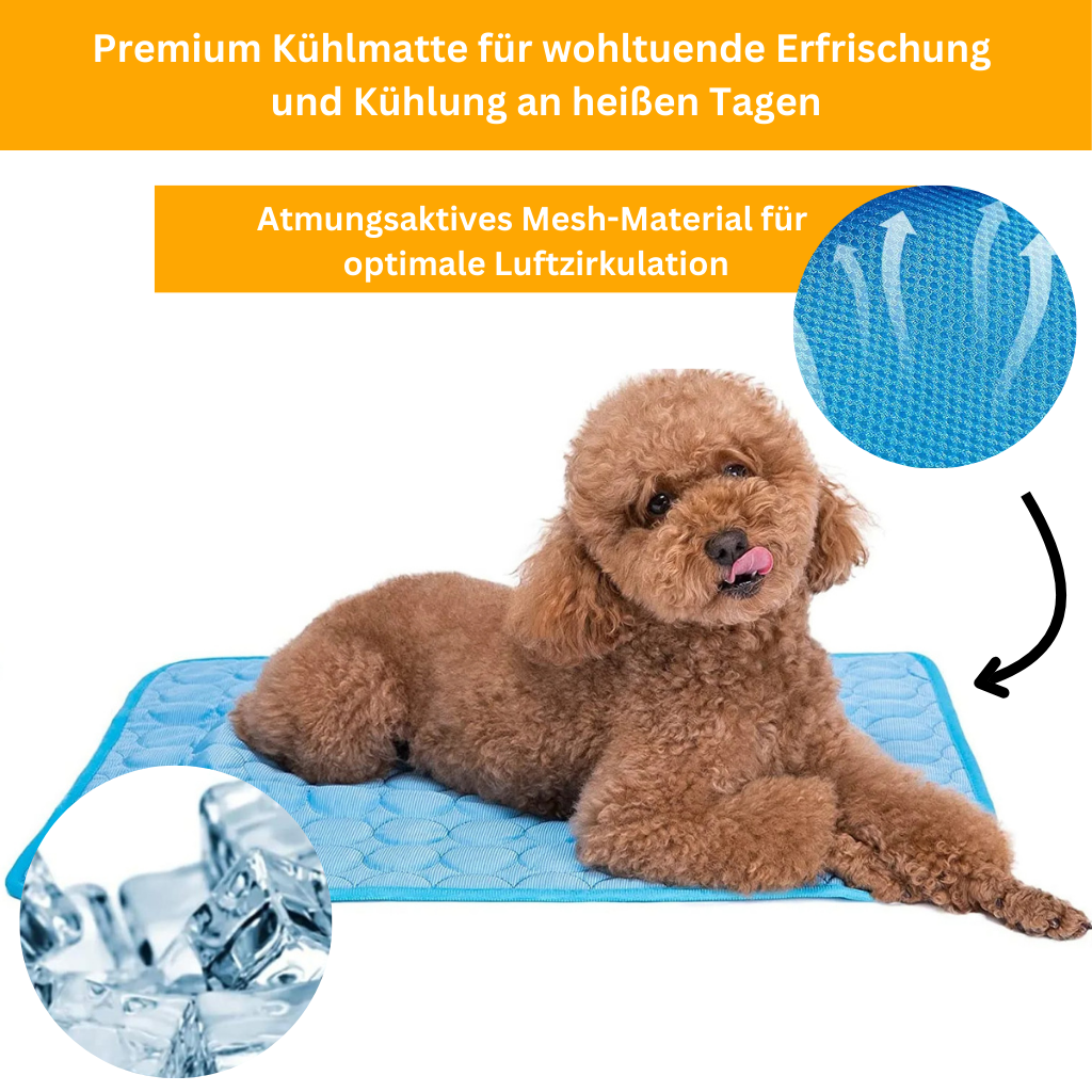 Premium Kühlmatte für Hunde