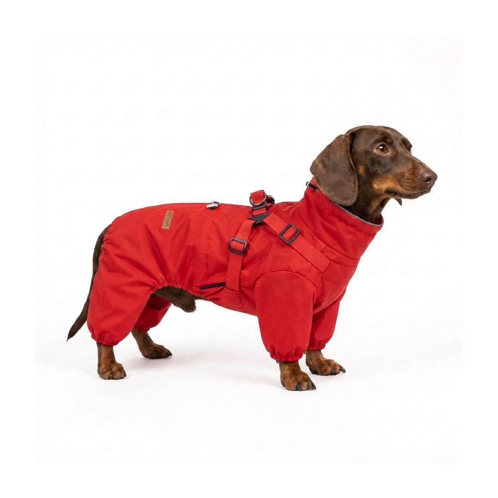 RainPaw – Waterproof Raincoat for Dogs