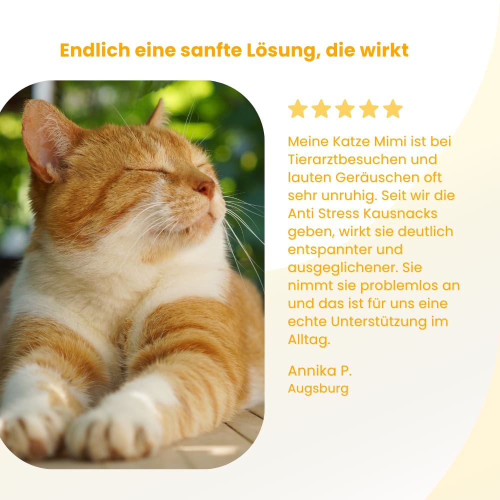 Anti-Stress Chews for Cats