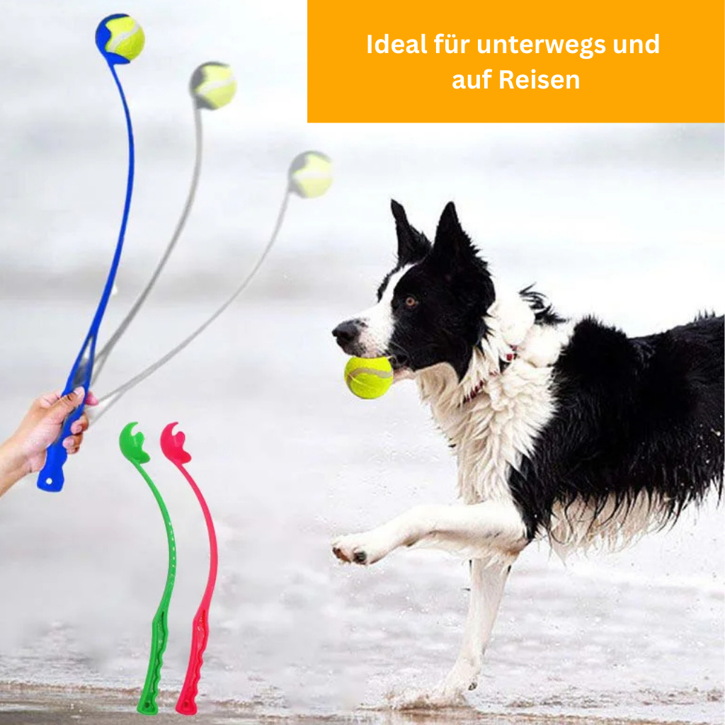 FetchMaster Handballwerfer