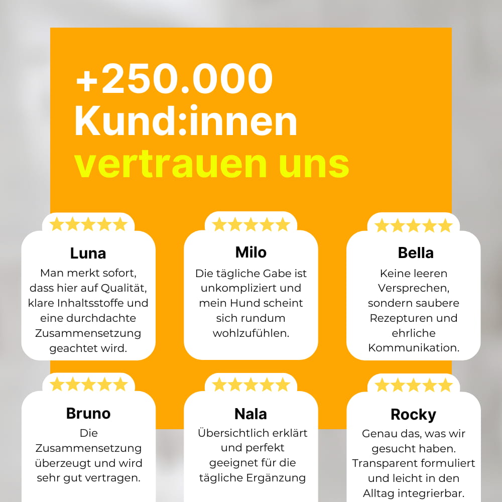 Anti-Stress Chews for Cats