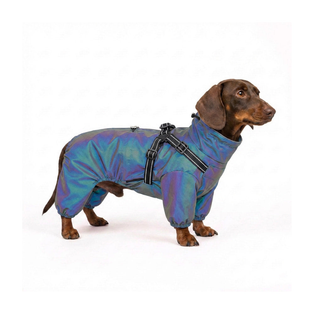 RainPaw – Waterproof Raincoat for Dogs