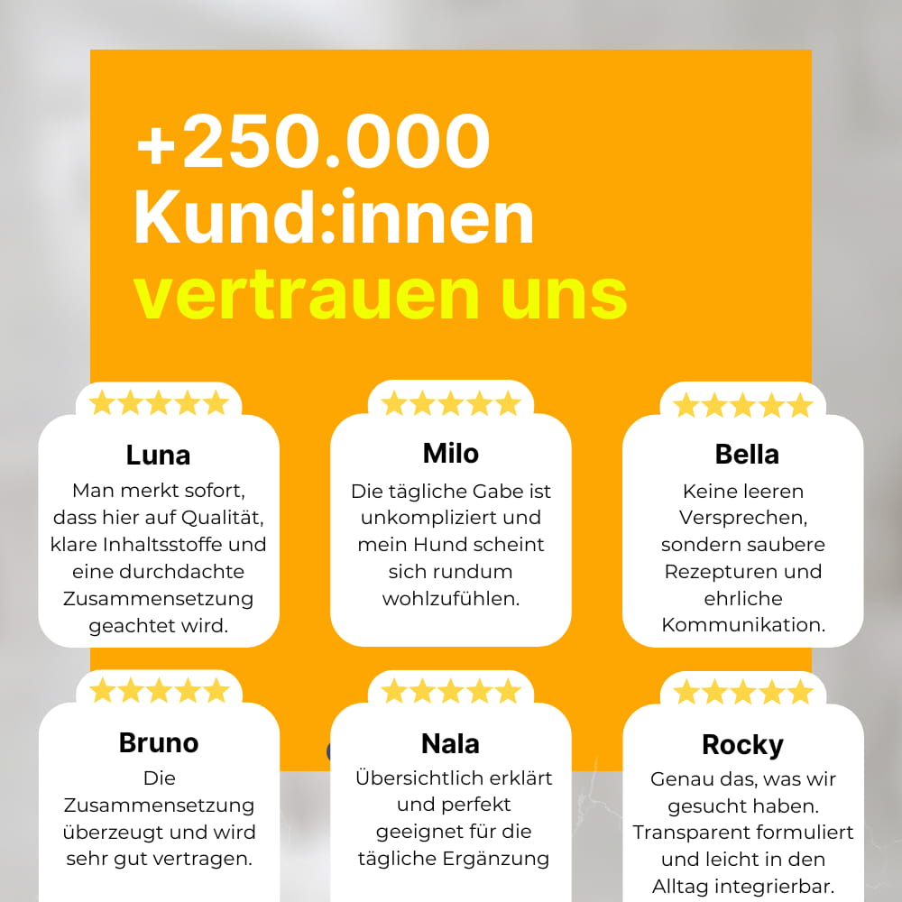 Tägliche Darmflora-Probiotika für Hunde