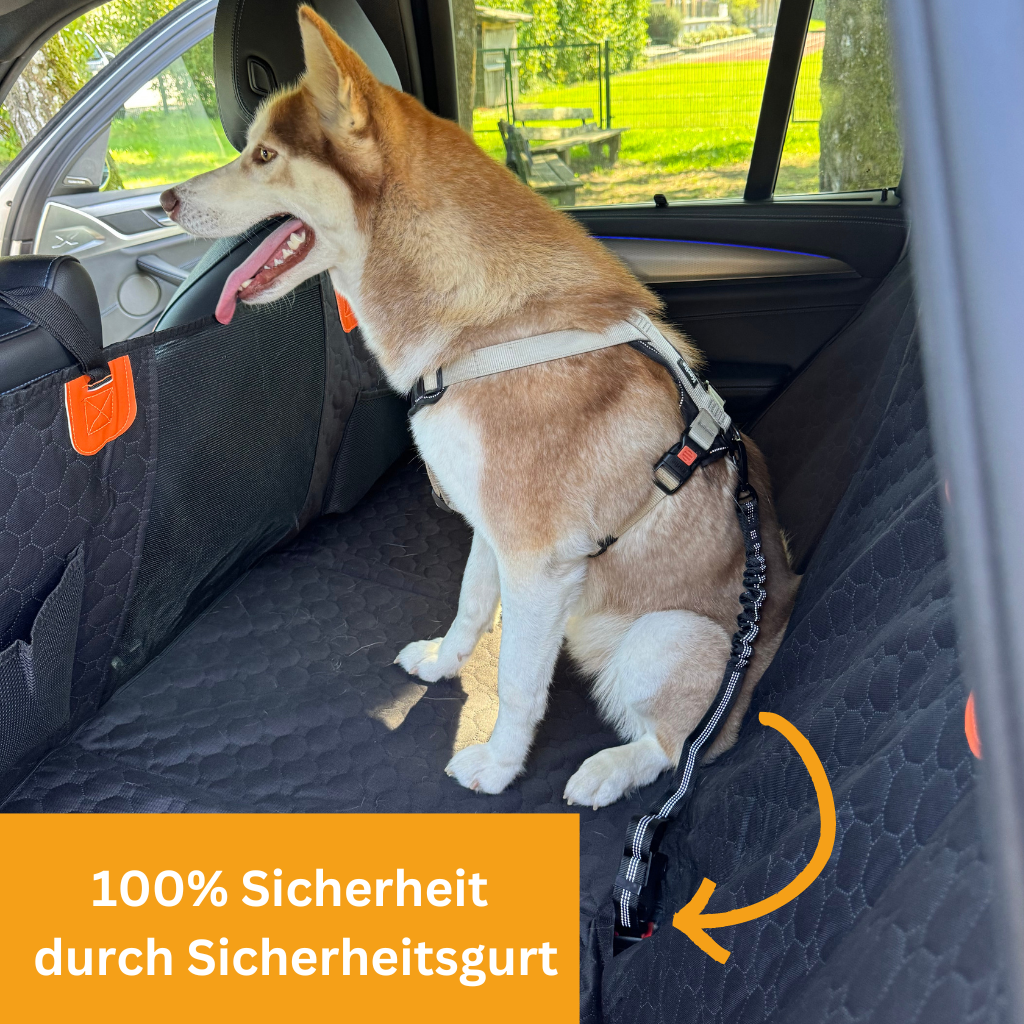 Stabiler Rücksitzschutz - Bundle