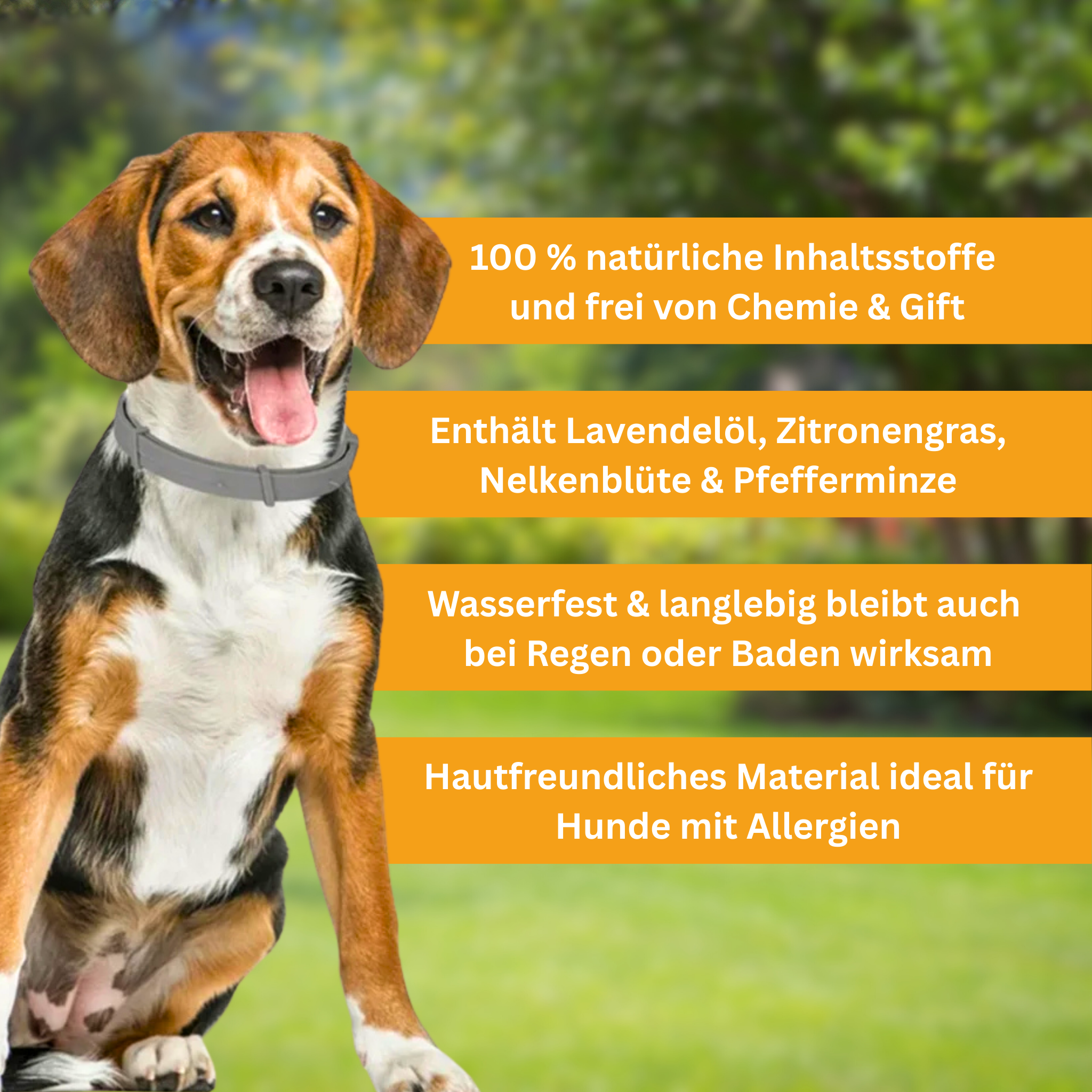 Floh- und Zeckenschutz Halsband für Hunde