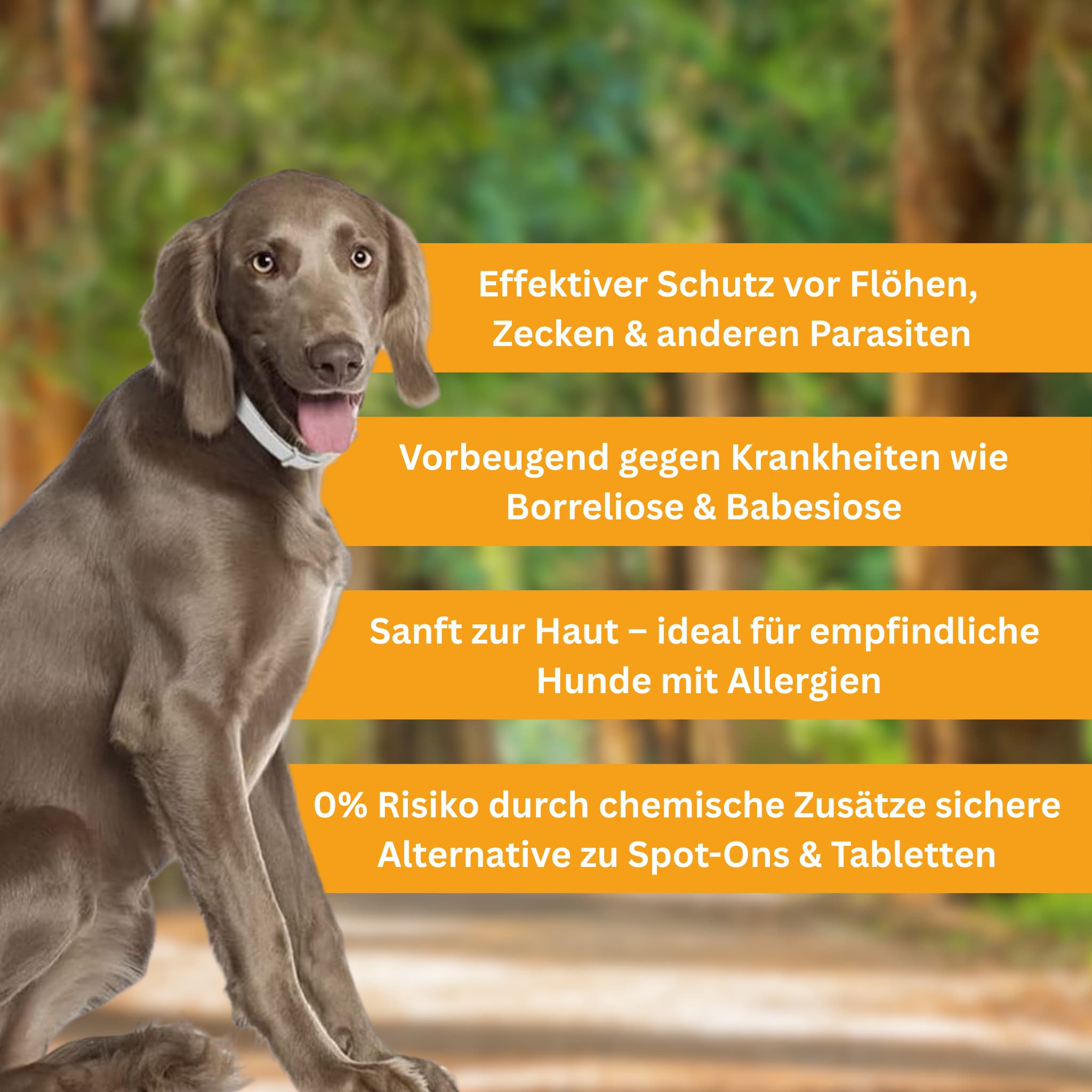 Floh- und Zeckenschutz Halsband für Hunde [Verdopplungs Aktion]