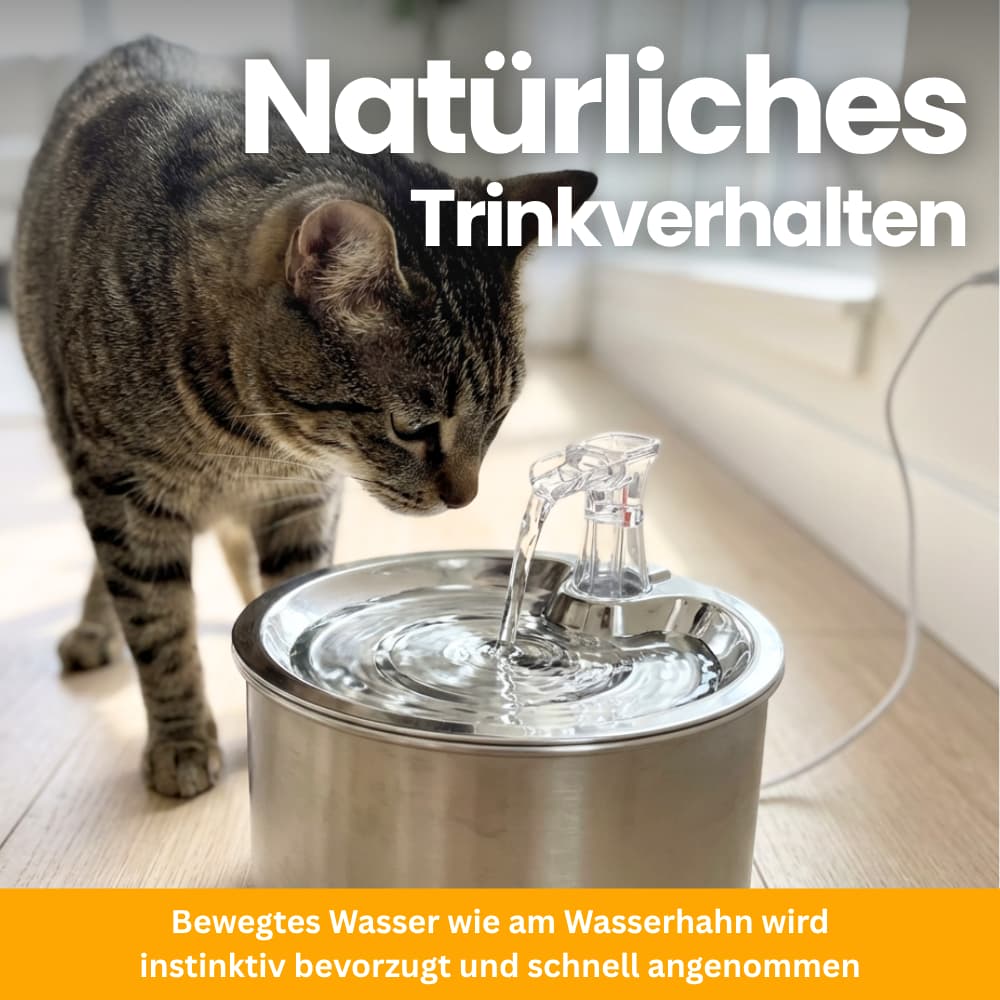 FreshFlow Stainless Steel Fountain