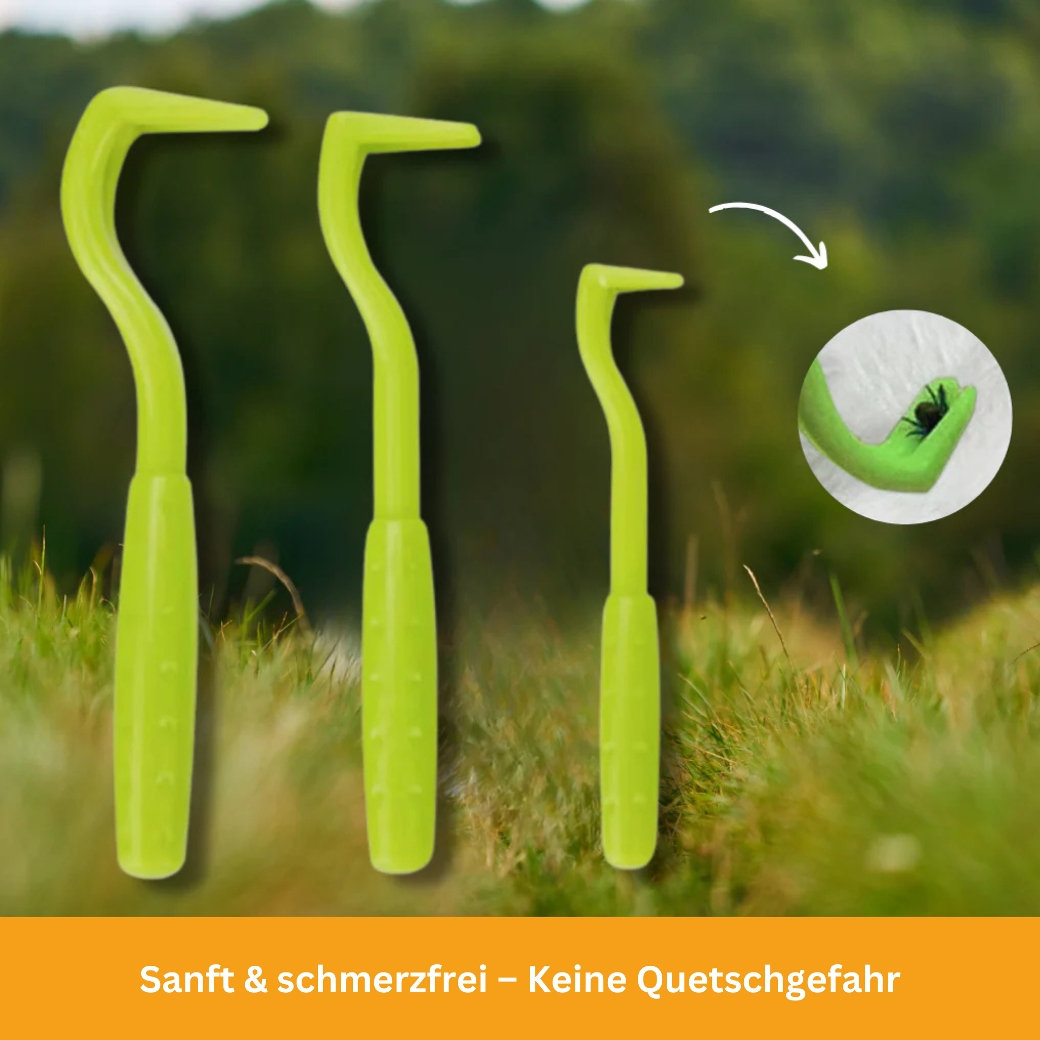 Praktische Zeckenzange (3er Set)