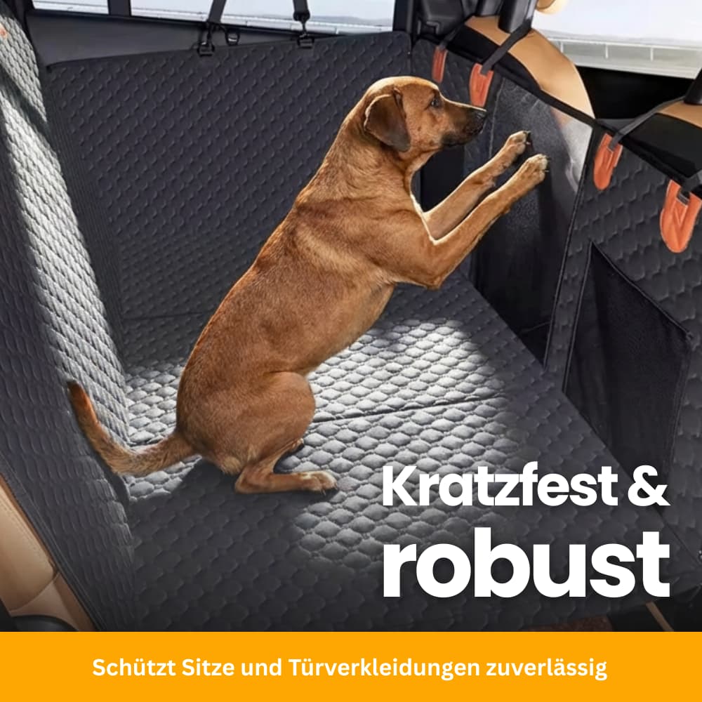 Stabiler Rücksitzschutz