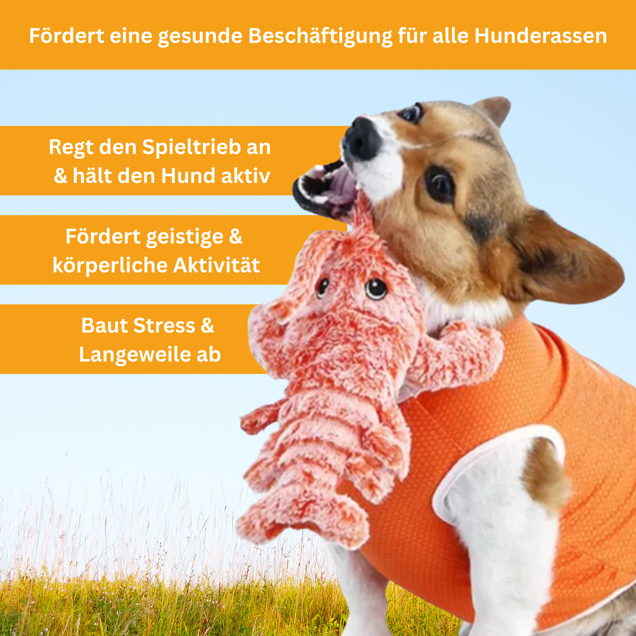 Wackel-Hummer - Interaktives Hundespielzeug