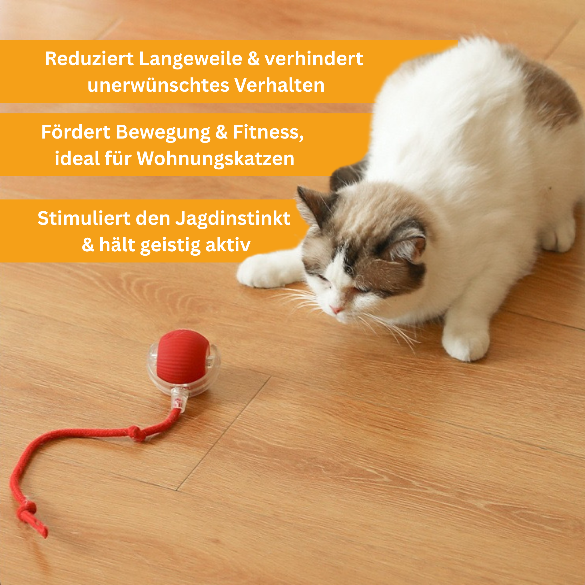 Interaktiver Spielball mit Schwanz für Katzen