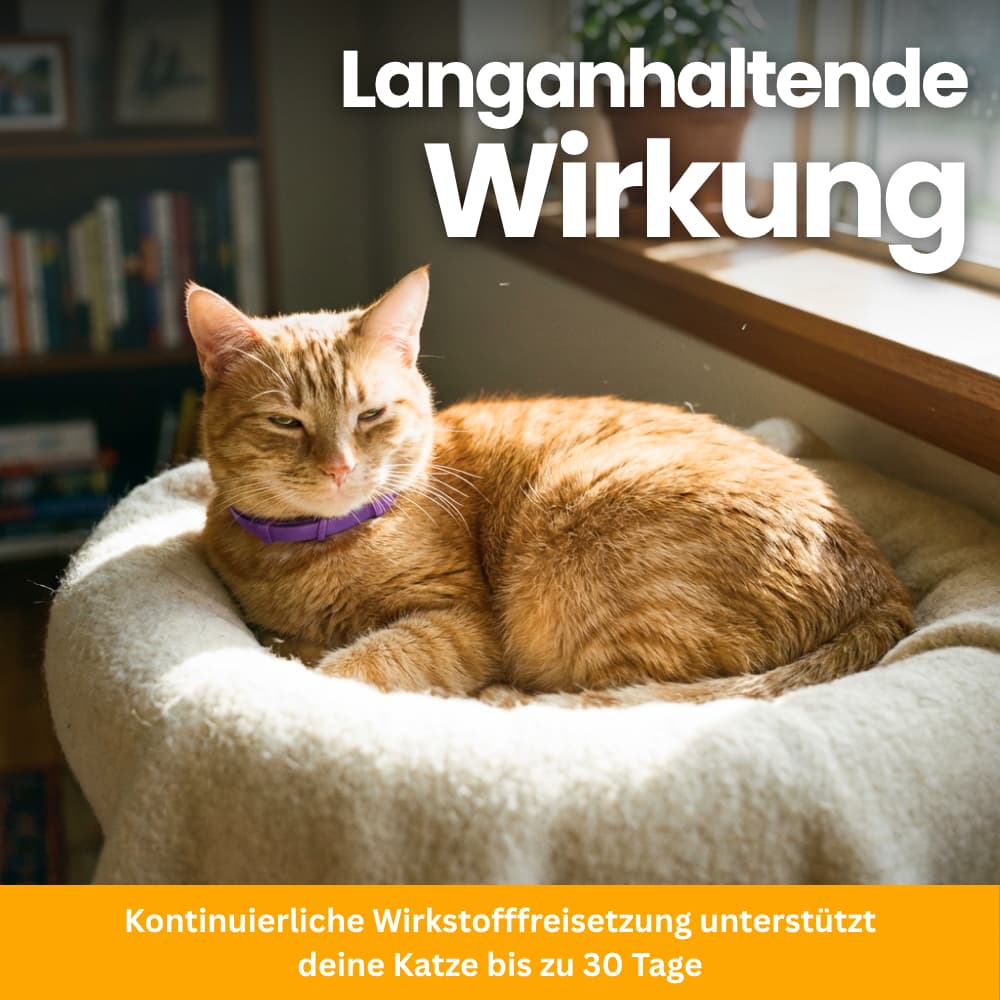 Pet-Friendly Anti-Stress Collar for Cats