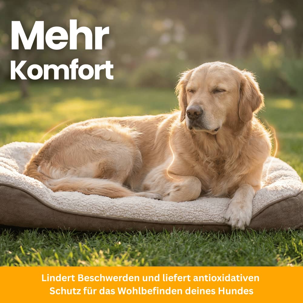 Hüfte & Gelenke Soft Chews für Hunde