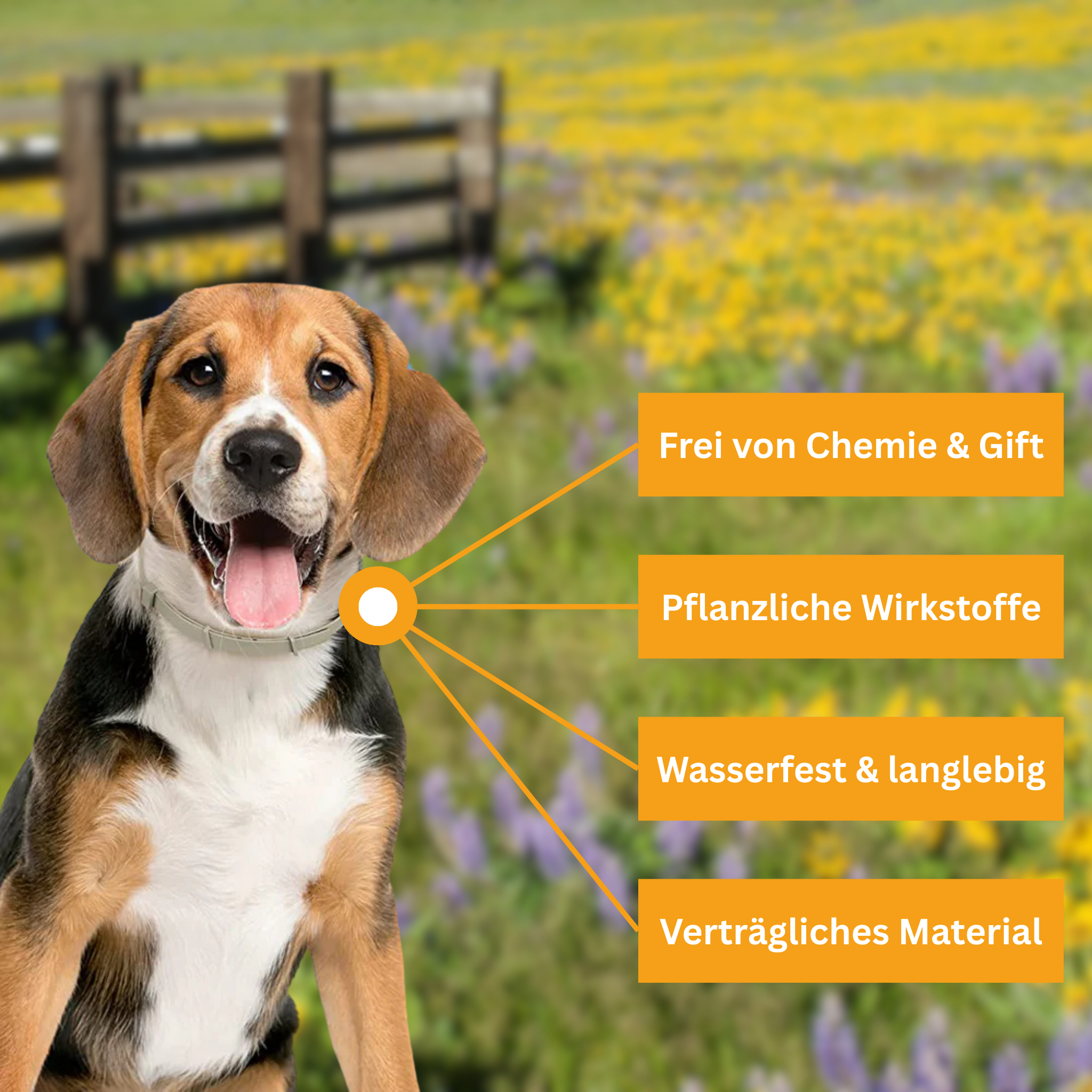 Floh- und Zeckenschutz Halsband für Hunde