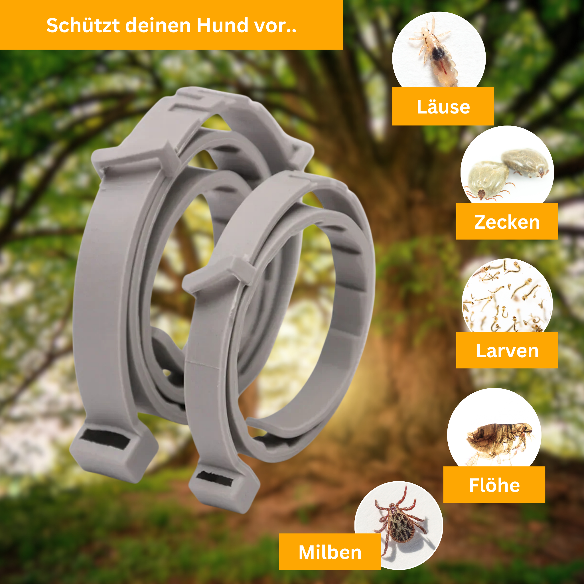 Floh- und Zeckenschutz Halsband für Hunde