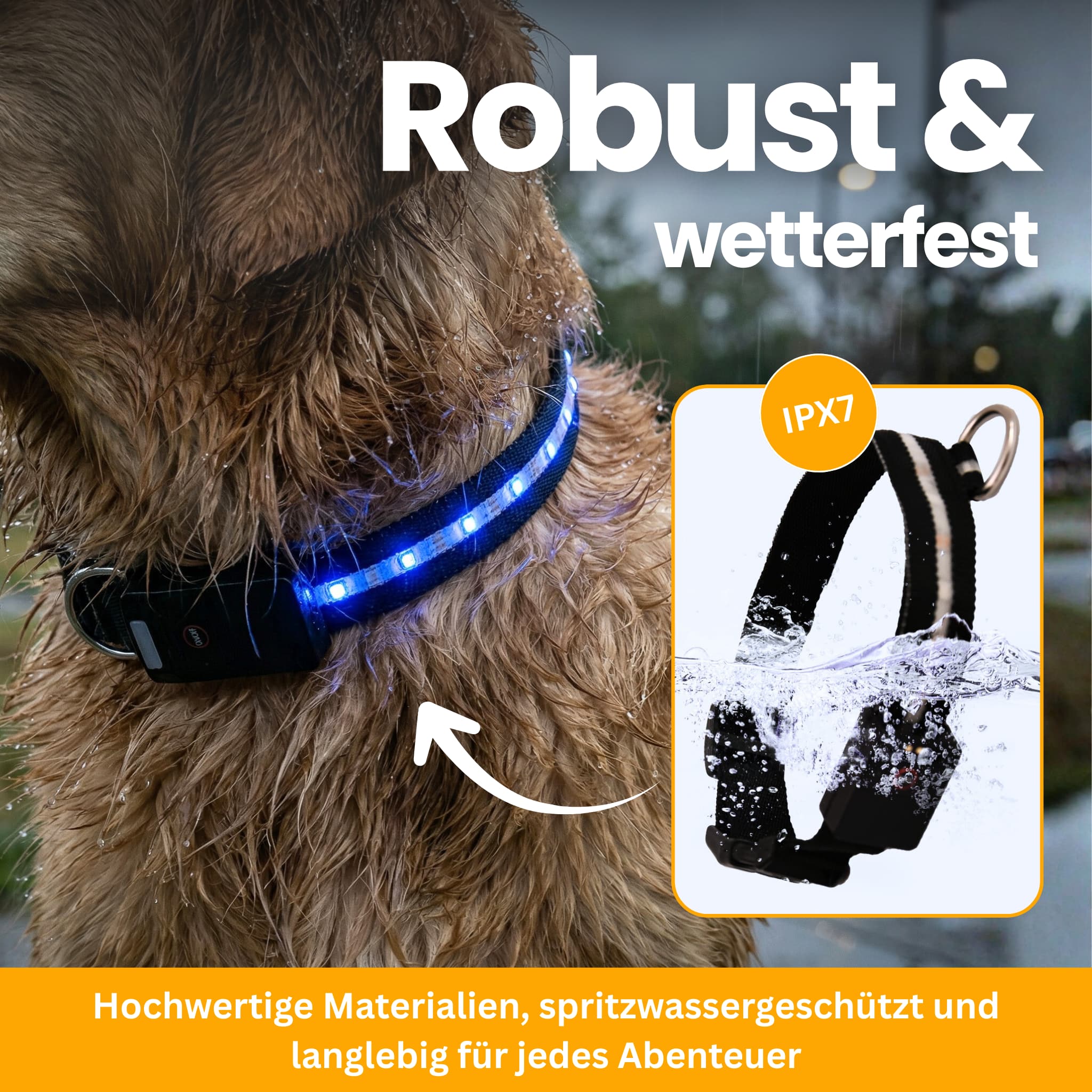 LED-Leuchthalsband Pro